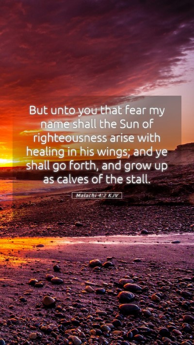 Picture 05 - Malachi 4:2 KJV Mobile Phone Wallpaper - But unto you that fear my name shall the Sun of - Mobile Bible Verse Wallpaper