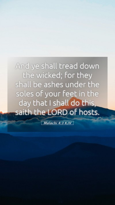 Picture 05 - Malachi 4:3 KJV Mobile Phone Wallpaper - And ye shall tread down the wicked; for they - Mobile Bible Verse Wallpaper