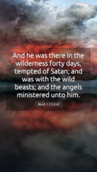 Picture 05 - Mark 1:13 KJV Mobile Phone Wallpaper - And he was there in the wilderness forty days, - Mobile Bible Verse Wallpaper
