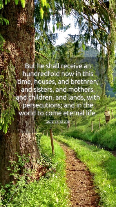 Picture 05 - Mark 10:30 KJV Mobile Phone Wallpaper - But he shall receive an hundredfold now in this - Mobile Bible Verse Wallpaper