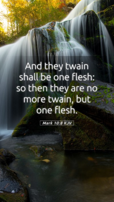 Picture 05 - Mark 10:8 KJV Mobile Phone Wallpaper - And they twain shall be one flesh: so then they - Mobile Bible Verse Wallpaper