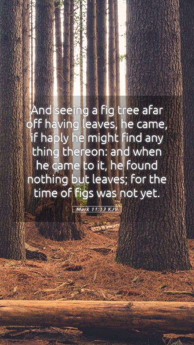 Picture 05 - Mark 11:13 KJV Mobile Phone Wallpaper - And seeing a fig tree afar off having leaves, he - Mobile Bible Verse Wallpaper