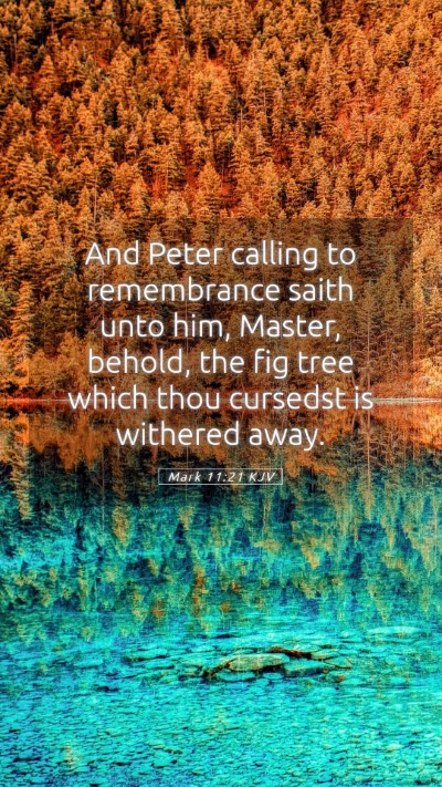 Picture 05 - Mark 11:21 KJV Mobile Phone Wallpaper - And Peter calling to remembrance saith unto him, - Mobile Bible Verse Wallpaper
