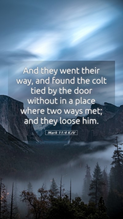Picture 05 - Mark 11:4 KJV Mobile Phone Wallpaper - And they went their way, and found the colt tied - Mobile Bible Verse Wallpaper