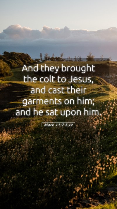 Picture 05 - Mark 11:7 KJV Mobile Phone Wallpaper - And they brought the colt to Jesus, and cast - Mobile Bible Verse Wallpaper