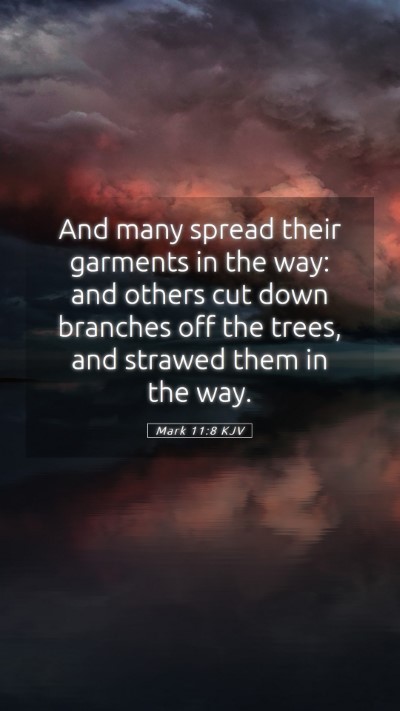 Picture 05 - Mark 11:8 KJV Mobile Phone Wallpaper - And many spread their garments in the way: and - Mobile Bible Verse Wallpaper