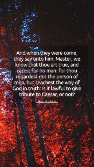 Picture 05 - Mark 12:14 KJV Mobile Phone Wallpaper - And when they were come, they say unto him, - Mobile Bible Verse Wallpaper