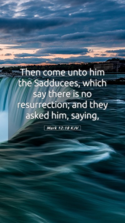 Picture 05 - Mark 12:18 KJV Mobile Phone Wallpaper - Then come unto him the Sadducees, which say there - Mobile Bible Verse Wallpaper