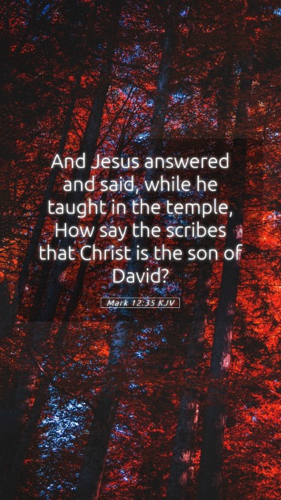 Picture 05 - Mark 12:35 KJV Mobile Phone Wallpaper - And Jesus answered and said, while he taught in - Mobile Bible Verse Wallpaper