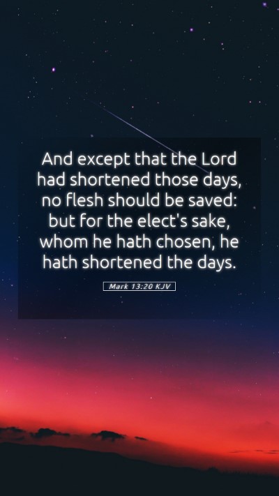 Picture 05 - Mark 13:20 KJV Mobile Phone Wallpaper - And except that the Lord had shortened those - Mobile Bible Verse Wallpaper