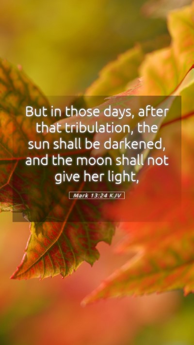 Picture 05 - Mark 13:24 KJV Mobile Phone Wallpaper - But in those days, after that tribulation, the - Mobile Bible Verse Wallpaper