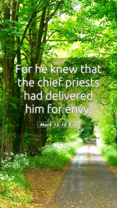 Picture 05 - Mark 15:10 KJV Mobile Phone Wallpaper - For he knew that the chief priests had delivered - Mobile Bible Verse Wallpaper