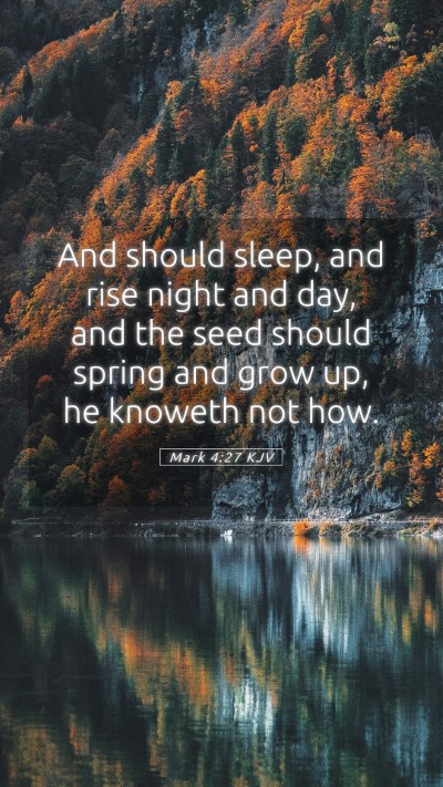 Picture 05 - Mark 4:27 KJV Mobile Phone Wallpaper - And should sleep, and rise night and day, and the - Mobile Bible Verse Wallpaper