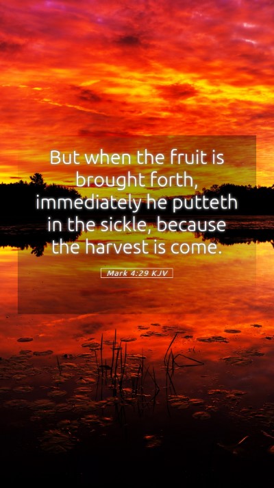 Picture 05 - Mark 4:29 KJV Mobile Phone Wallpaper - But when the fruit is brought forth, immediately - Mobile Bible Verse Wallpaper