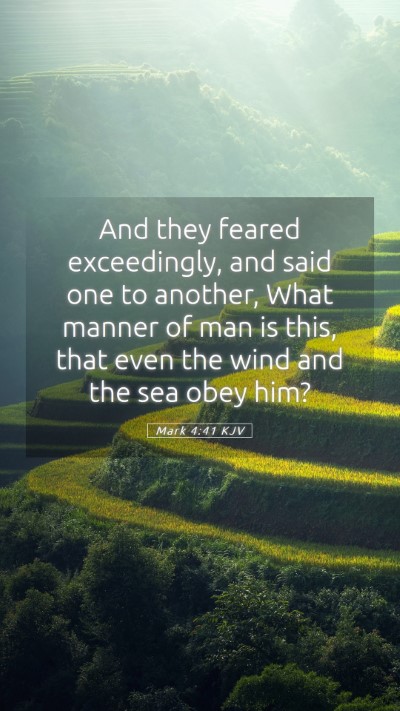 Picture 05 - Mark 4:41 KJV Mobile Phone Wallpaper - And they feared exceedingly, and said one to - Mobile Bible Verse Wallpaper