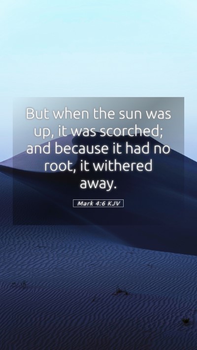 Picture 05 - Mark 4:6 KJV Mobile Phone Wallpaper - But when the sun was up, it was scorched; and - Mobile Bible Verse Wallpaper