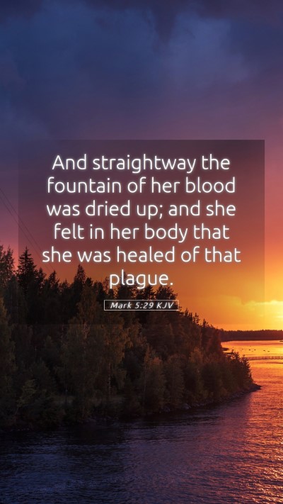 Picture 05 - Mark 5:29 KJV Mobile Phone Wallpaper - And straightway the fountain of her blood was - Mobile Bible Verse Wallpaper