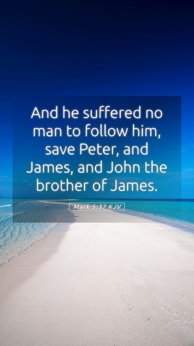 Picture 05 - Mark 5:37 KJV Mobile Phone Wallpaper - And he suffered no man to follow him, save Peter, - Mobile Bible Verse Wallpaper