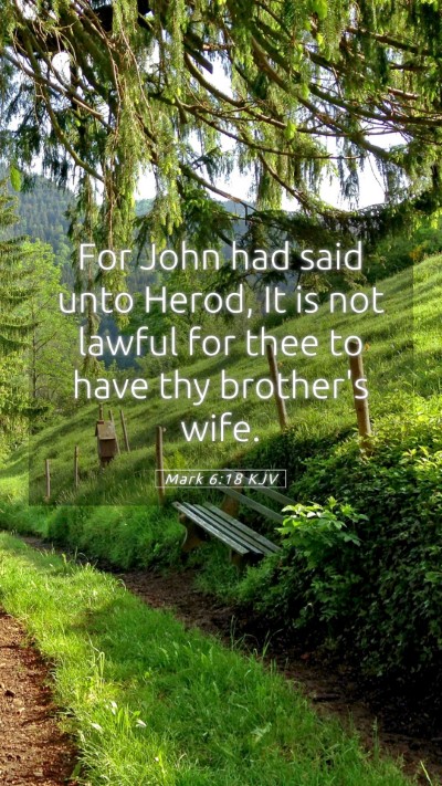 Picture 05 - Mark 6:18 KJV Mobile Phone Wallpaper - For John had said unto Herod, It is not lawful - Mobile Bible Verse Wallpaper