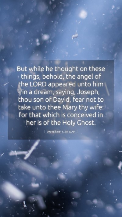 Picture 05 - Matthew 1:20 KJV Mobile Phone Wallpaper - But while he thought on these things, behold, the - Mobile Bible Verse Wallpaper