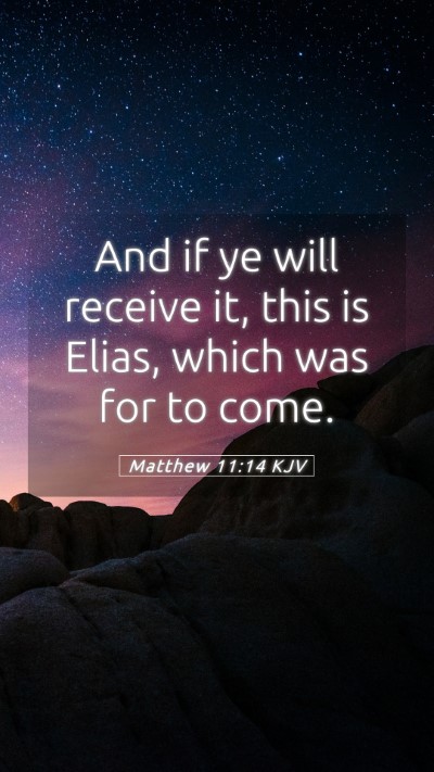 Picture 05 - Matthew 11:14 KJV Mobile Phone Wallpaper - And if ye will receive it, this is Elias, which - Mobile Bible Verse Wallpaper