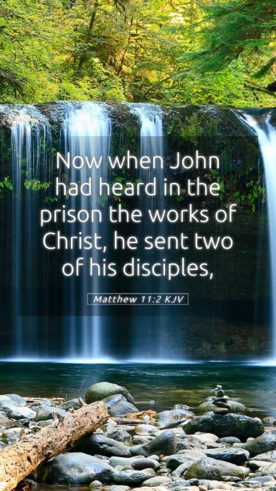 Picture 05 - Matthew 11:2 KJV Mobile Phone Wallpaper - Now when John had heard in the prison the works - Mobile Bible Verse Wallpaper