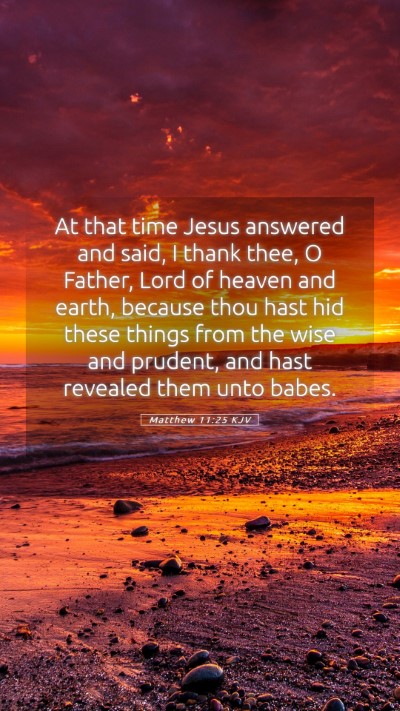 Picture 05 - Matthew 11:25 KJV Mobile Phone Wallpaper - At that time Jesus answered and said, I thank - Mobile Bible Verse Wallpaper