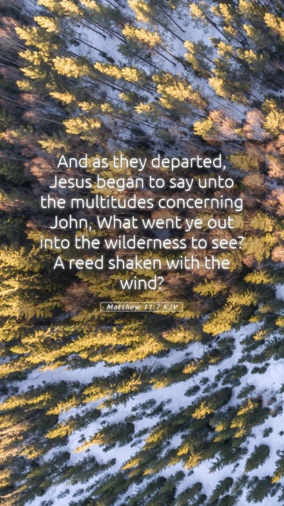 Picture 05 - Matthew 11:7 KJV Mobile Phone Wallpaper - And as they departed, Jesus began to say unto the - Mobile Bible Verse Wallpaper