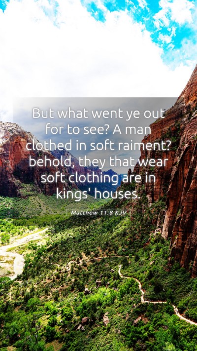 Picture 05 - Matthew 11:8 KJV Mobile Phone Wallpaper - But what went ye out for to see? A man clothed in - Mobile Bible Verse Wallpaper