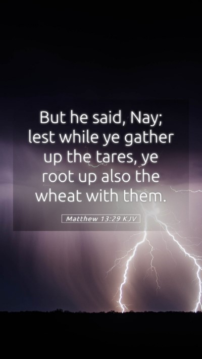 Picture 05 - Matthew 13:29 KJV Mobile Phone Wallpaper - But he said, Nay; lest while ye gather up the - Mobile Bible Verse Wallpaper