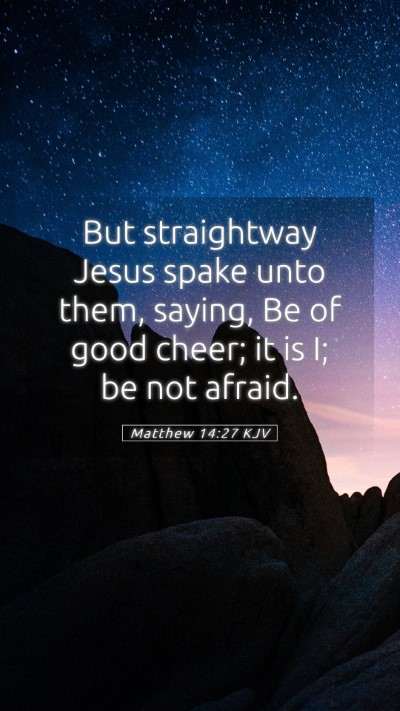 Picture 05 - Matthew 14:27 KJV Mobile Phone Wallpaper - But straightway Jesus spake unto them, saying, Be - Mobile Bible Verse Wallpaper