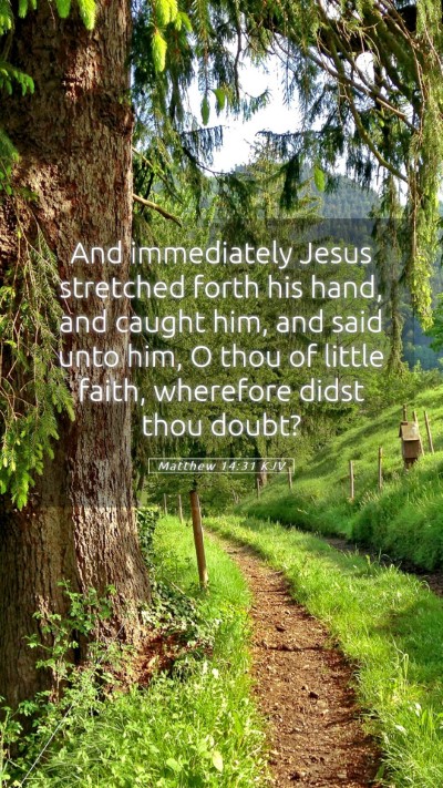 Picture 05 - Matthew 14:31 KJV Mobile Phone Wallpaper - And immediately Jesus stretched forth his hand, - Mobile Bible Verse Wallpaper