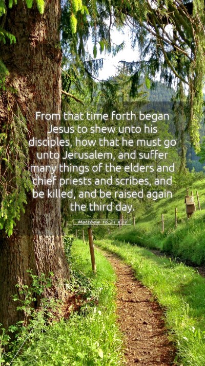 Picture 05 - Matthew 16:21 KJV Mobile Phone Wallpaper - From that time forth began Jesus to shew unto his - Mobile Bible Verse Wallpaper