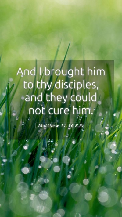 Picture 05 - Matthew 17:16 KJV Mobile Phone Wallpaper - And I brought him to thy disciples, and they - Mobile Bible Verse Wallpaper