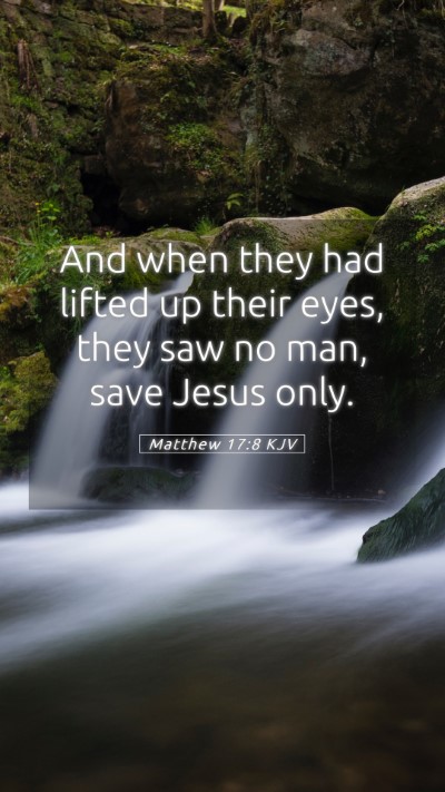 Picture 05 - Matthew 17:8 KJV Mobile Phone Wallpaper - And when they had lifted up their eyes, they saw - Mobile Bible Verse Wallpaper