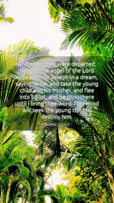 Picture 05 - Matthew 2:13 KJV Mobile Phone Wallpaper - And when they were departed, behold, the angel of - Mobile Bible Verse Wallpaper