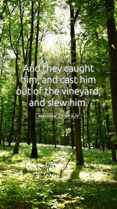 Picture 05 - Matthew 21:39 KJV Mobile Phone Wallpaper - And they caught him, and cast him out of the - Mobile Bible Verse Wallpaper
