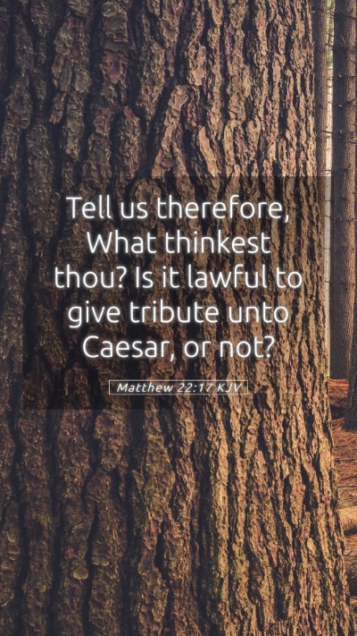 Picture 05 - Matthew 22:17 KJV Mobile Phone Wallpaper - Tell us therefore, What thinkest thou? Is it - Mobile Bible Verse Wallpaper