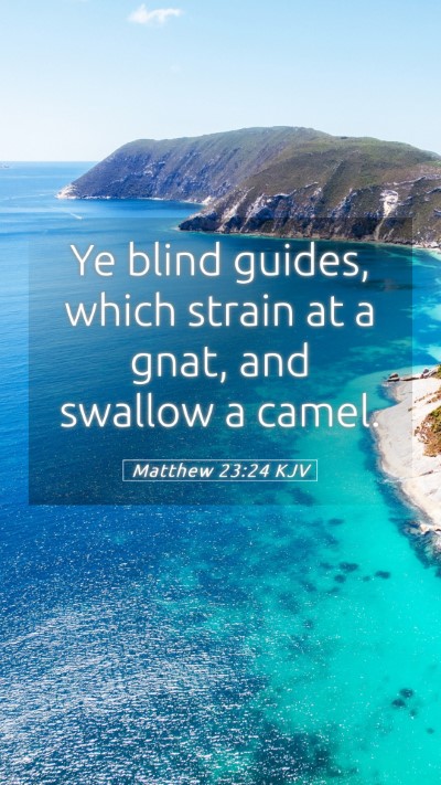Picture 05 - Matthew 23:24 KJV Mobile Phone Wallpaper - Ye blind guides, which strain at a gnat, and - Mobile Bible Verse Wallpaper