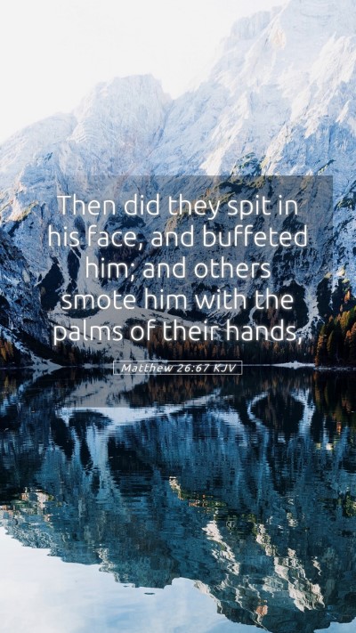 Picture 05 - Matthew 26:67 KJV Mobile Phone Wallpaper - Then did they spit in his face, and buffeted him; - Mobile Bible Verse Wallpaper