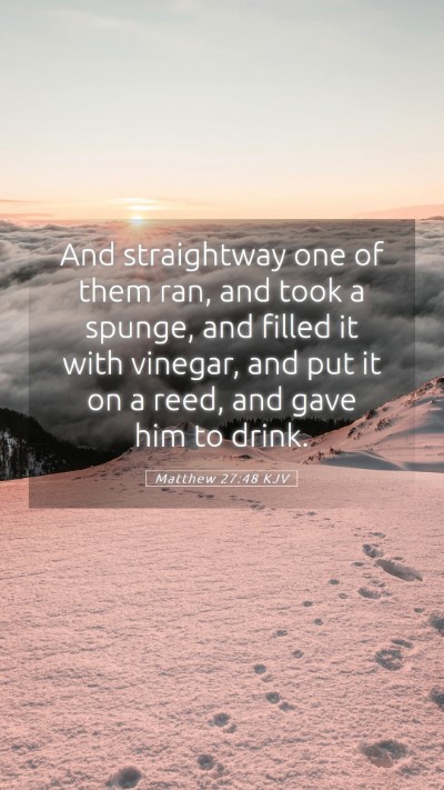 Picture 05 - Matthew 27:48 KJV Mobile Phone Wallpaper - And straightway one of them ran, and took a - Mobile Bible Verse Wallpaper