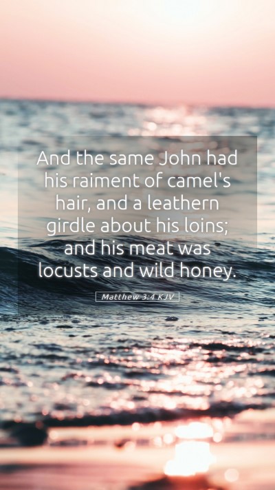 Picture 05 - Matthew 3:4 KJV Mobile Phone Wallpaper - And the same John had his raiment of camel's - Mobile Bible Verse Wallpaper