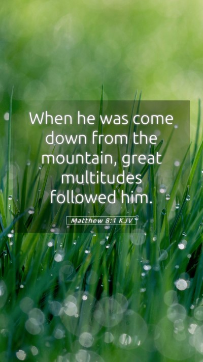Picture 05 - Matthew 8:1 KJV Mobile Phone Wallpaper - When he was come down from the mountain, great - Mobile Bible Verse Wallpaper