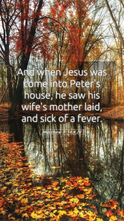 Picture 05 - Matthew 8:14 KJV Mobile Phone Wallpaper - And when Jesus was come into Peter's house, he - Mobile Bible Verse Wallpaper