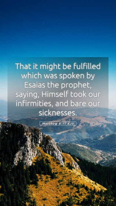 Picture 05 - Matthew 8:17 KJV Mobile Phone Wallpaper - That it might be fulfilled which was spoken by - Mobile Bible Verse Wallpaper