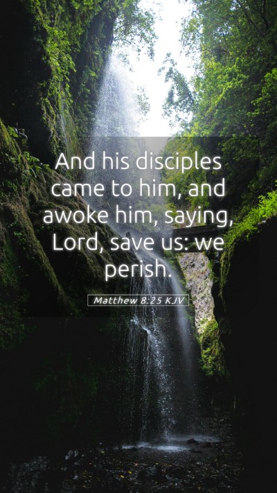 Picture 05 - Matthew 8:25 KJV Mobile Phone Wallpaper - And his disciples came to him, and awoke him, - Mobile Bible Verse Wallpaper