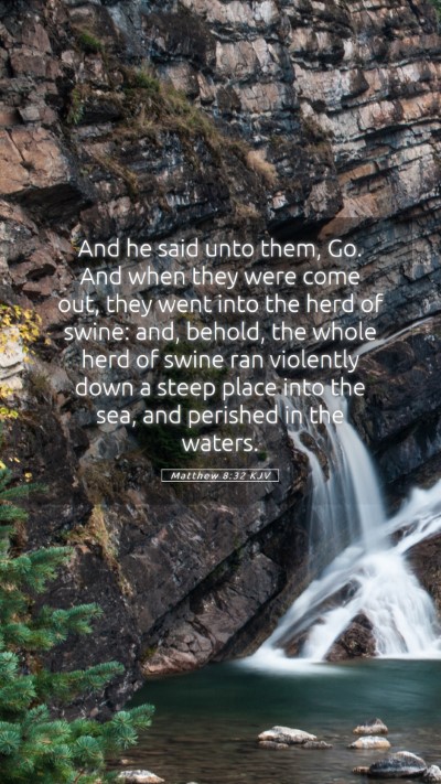 Picture 05 - Matthew 8:32 KJV Mobile Phone Wallpaper - And he said unto them, Go. And when they were - Mobile Bible Verse Wallpaper