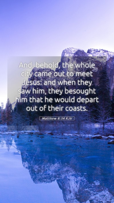 Picture 05 - Matthew 8:34 KJV Mobile Phone Wallpaper - And, behold, the whole city came out to meet - Mobile Bible Verse Wallpaper
