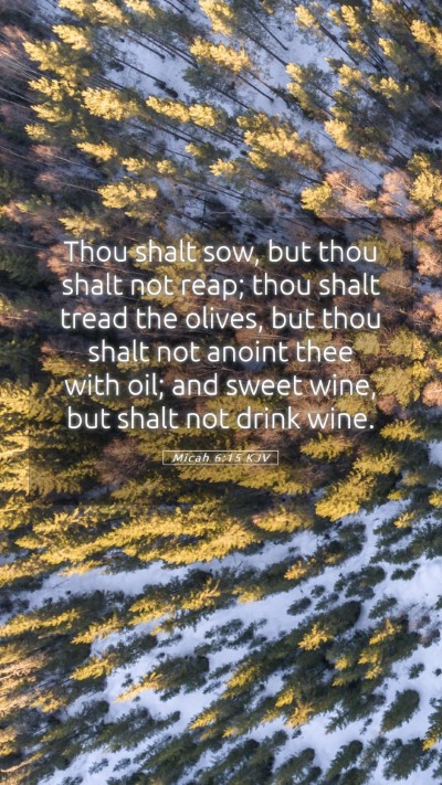 Picture 05 - Micah 6:15 KJV Mobile Phone Wallpaper - Thou shalt sow, but thou shalt not reap; thou - Mobile Bible Verse Wallpaper