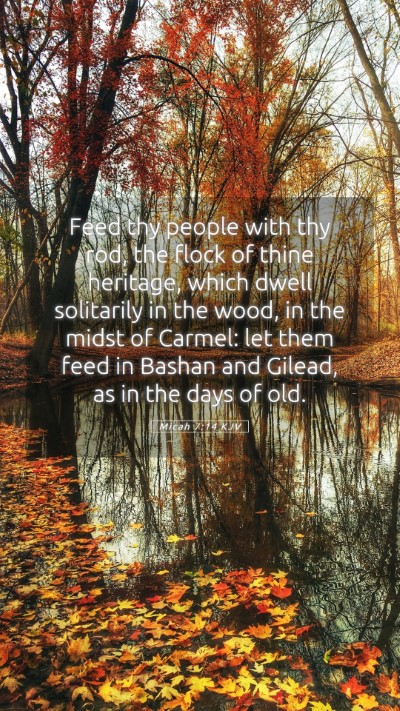 Picture 05 - Micah 7:14 KJV Mobile Phone Wallpaper - Feed thy people with thy rod, the flock of thine - Mobile Bible Verse Wallpaper